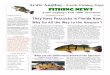 Acute Angling Exotic Fishing Trips Fishing News · as one of North America’s most sporting game-fish belongs to the family Centrarchidae, as does its smaller, meeker cousin, the