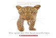 Scholastic Library Publishingscholastic.ca/booksellers/catalogues/spring/2017_SLP.pdf · • Amazing Animals: Helps kids discover the names of their favorite animals. • My Favorite