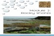 Module 2: Rocky Shores€¦ · a high abundance of herbivorous fishes and invertebrates, they are also the only known habitats of a range of endemic species. Coastal rocky and coral