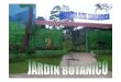 Jardin Botanico La Paz - Kenji Nishida Botanico La Paz.pdfMicrosoft PowerPoint - Jardin Botanico La Paz Author: Administrator Created Date: 4/20/2007 5:26:56 PM 