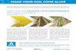 MAKE YOUR SOIL COME ALIVEptag.blob.core.windows.net/media/1493/agtiv_canola_fact_info.pdf · Growers and researchers have long observed that crops following canola in a rotation tend