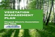 VEGETATION MANAGEMENT PLAN...The Anchorage Hillside is littered with dead, Spruce Bark Beetle killed trees, and every summer fire officials worry about the danger of a fire taking