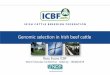 Genomic selection in Irish beef cattle - ICBF€¦ · Genomic selection in Irish beef cattle. 2 Overview of the different layers in the Irish beef Industry 2018 ~ 249k cattle exported
