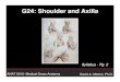 G24: Shoulder and Axilla - Anatomy Resources · ANAT 6010- Medical Gross Anatomy. Objectives Upper limb Systemically: • Bones (joints) • Muscles • Nerves ... Muscles of the