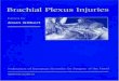 Brachial Plexus Injuriesphysiomantra.in/wp-content/uploads/2017/06/Brachial-Plexus-Injurie.… · The brachial plexus, on account of the progres-sive unions and divisions of its constituent