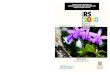 CENÁRIOS RS 2030 · Beija-flor e flor de embiruçu (Pseudobombax grandiflora). Jardim de Paulo Backes. Porto Alegre cessos de imigração estimulada pelos governos centrais desde