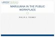 MARIJUANA IN THE PUBLIC WORKPLACE€¦ · marijuana during the year prior and 22.5 percent used in the past month; 6.0 percent said they used marijuana daily or near - daily basis