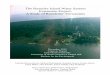 The Roanoke Island Water System Expansion Project: A Study ...ie.unc.edu/files/2015/12/roanoke_island_water_system_final_ Corey Adams Rudy Austin Alton Ballance Larry Band Ladd Bayliss
