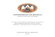 La Documentación Carolina en el Archivo Municipal de Murcia … · 2020-02-27 · 10 1.- INTRODUCCIÓN La Tesis Doctoral titulada La Documentación Carolina en el Archivo Municipal
