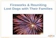 Fireworks & Reuniting Lost Dogs with Their Families · 2020-05-07 · water, familiar scented articles, and the dog’s bed or favorite ... Organize! Have a good plan. Assign one