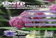 bwfp - British Wild Flower Plantswildflowers.co.uk/pdf/Catalogue2013_WEB.pdf · MT19 School Selection (Flowers in Spring & Autumn) MT20 Wildlife Pond Marginals MT21 To Attract Bumblebees