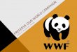 WORLD&WILDLIFE&FUND&(WWF) - Catherine Roberts€¦ · CAMPAIGN&TARGET&AUDIENCE& Target)Age:)1624 TargetTribe: Alternaves&tribe&& & &&&&&–creave,&aware&of&social&issues,&resistantto&marke2ng&