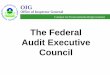 The Federal Audit Executive Council - IGNET– Buy American – Davis Bacon Wages Rates – Recordkeeping Requirements • Procurement – Potential Bid Rigging – Lack of Criteria