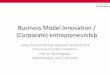 Business Model Innovation / (Corporate) entrepreneurship€¦ · –Business Model Generation –The Business Model Canvas as a new management tool • A number of other works with
