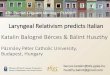 Laryngeal Relativism predicts Italian Katalin Balogné ...• Balogné Bérces (2017): “Yorkshire Assimilation” • in harmony with Cyran, if such languages also have final obstruent