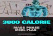  · . Vince Del Monte presents 3000 CALORIE MASS PHASE MEAL PLAN . 3000 CAL NON-TRAINING DAY MEAL PLANS MEAL 1: 50z lean meat 1/4 cup raw nuts 2 tablespoons any natu- ral nut butter