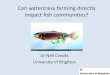 Can watercress farming directly impact fish communities? · Watercress (Nasturtium officinale) •N. officinale produces chemical outputs thought to be toxic to macroinvertebrate