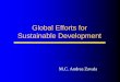 Global Efforts for Sustainable Development - pages.mtu.eduasmayer/rural_sustain/intro... · Global Efforts for Sustainable Development M.C. Andrea Zavala “Sustainable Development