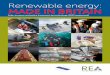 Renewable energy: made in Britain · 2019-11-27 · Heat pumps Biomass CHP Solar thermal Deep geothermal Biomass power Solid biomass fuels Liquid biofuels Wood-fuel boilers and stoves