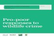 Pro-poor responses to wildlife crime · ‘Building capacity for pro-poor responses to wildlife crime in Uganda’ is a three-year project from 2014 to 2017. It involves research