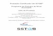 Probador Certificado del ISTQB Programa de Estudio de ... · Probador Certificado Programa de Estudio de Nivel Avanzado - Jefe de Pruebas International Software Testing Qualifications