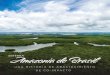 Amazonia de Brasil - doTerra€¦ · El río Amazonas es el río más grande del mundo en volumen. Algunos de sus afluentes también reclaman espacio entre los ríos más grandes