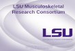 LSU Musculoskeletal Research Consortium · Louisiana State University system In-depth collaboration and translational research in vitro and In vivo animal models Pre-clinical (GLP)