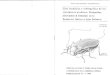 C. MONTES A.G. SOLER - Limnetica · 2017-05-08 · 1 ASOCIACION ESPAÑOLA DE LIMNOLOGIA Lista faunística y bibliográfica de los coleópteros acuáticos Dryopoidea (Dryopidae & Elmidae)