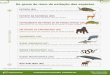 Risco de extinção das espécies - Iberdrola...Espécies que não estão em perigo de extinção, mas estão perto ou podem estar no curto prazo. MENOS PREOCUPANTE (LC) Espécies