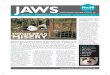 JAWS newsletter 80 newsletter winter No.80.pdfjaws uK from jennifer lonsdale, director of the environmental investigation agency (eia). …it was encouraging to participate in the
