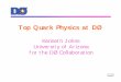 Top Quark Physics at DØ · Ken Johns HCP2002 Other Run IIa Top Physics • t-tbar and single top cross sections uFormer is sensitive to anomalous couplings uLatter is a direct measurement