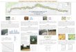 Purpose - University of California, Davis · dependent upon human choice. We wanted to better understand representation of vegetation across the riverscape as dependent upon head’sup