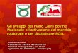 Gli sviluppi del Piano Carni Bovine · 2016-03-04 · Gli sviluppi del Piano Carni Bovine Nazionale e l’attivazione del marchio nazionale e del disciplinare SQN. Giuliano Marchesin