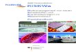 Risikomanagement von neuen Schadstoffen und ... Praxishandbuch/_/RISKWA_Praxishandbuch.pdf · PDF file 4.4 Anwendung der Technologien zur Emissionsminderung bei der Abwasserreinigung