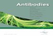 Antibodies - AnaSpecPolyclonal Antibody Production Packages 1 & 2 include consultation on epitope selection, synthesis of one peptide (Package 1) or two peptides (Package 2), immunization
