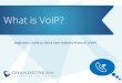 What is VoIP? · VoIP provider. As VoIP becomes more common, many household cable and internet providers also offer VoIP options in addition to digital/analog options. Through these