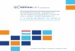 INTERNATIONAL MOBILITY IN APPRENTICESHIPS: FOCUS ON … · 3.2. Apprenticeship governance The Ministry of National Education, Children and Youth (“Ministère de l'éducation nationale,