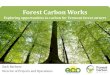 Forest Carbon Works · 2019-09-18 · Forest Carbon Works Exploring opportunities in carbon for Vermont forest owners ... California’s Compliance Market • Long-term demand •