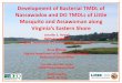 Development of Bacterial TMDL of Nassawadox and DO TMDLs ... · March 10, 2016. Why We Are Here 1. To review water quality conditions and pollutant sources for these creeks 2. To