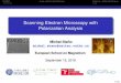 Scanning Electron Microscopy with Polarization Analysismagnetism.eu/esm/2019/practical/ESM2019_Practical-SEMPA_prese… · SEMPAAuger electron spectroscopy Imaging – Patterned Fe