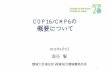 COP16/CMP6の 概要について - envkanto.env.go.jp/to_2011/data/0401a_3.pdfCOP16/CMP6の 概要について 2011年3月7日 森谷賢 環境大臣補佐官関東地方環境事務所長