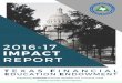 íëìñ ìò #7G S J G=JS - Texas...Impact Report will demonstrate program activity of the eight 2016-17 TFEE Grant Recipients. S ;#7G S ;J G=JS íëìñ/ìò 8 =a7 8S NW77Jg ABOUT