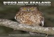 BIRDS NEW ZEALAND NZ Magazine_De… · Birds New Zealand set up a Conservation Sub-committee. This is likely to re-emerge at the 2020 AGM. In the meantime, I suggest that Birds New