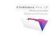 FileMaker Pro Advanced Development Guide · 2020-05-11 · 1 Custom Menus feature, for creating customized menus for the solution 1 Custom Functions feature, for creating custom functions