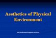 Aesthetics of Physical Environment...Aesthetics of Physical Environment Provide views of the outdoors from every patient bed; pictures or murals of nature scenes if outdoor views are