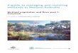 A guide to managing and restoring wetlands in Western ... · The highly diverse saline and freshwater wetlands and wetland plant communities of Leeman Lagoons, east of Leeman (Geraldton