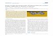 Charge Transfer and Chemisorption of Fullerene Molecules on …python.rice.edu/~kolomeisky/articles/JPCC13816.pdf · 2019-03-25 · Charge Transfer and Chemisorption of Fullerene