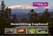 Rewilding Lapland€¦ · Rewilding Lapland being one of them. When Rewilding Europe started, different conservation organisations were invited to nominate areas, and more than thirty