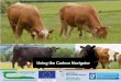 Using the Carbon Navigator – Demonstration · Bia Teagasc Carbon Navigator Tool for your herd number X1234567. To accept this request please forward this ... Advice Sheet • County