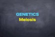 Meiosis* (MYP)(Class Lecture) · 2019-11-09 · Mitosis and Meiosis • There are many similarities and important differences between mitosis and meiosis. • Look for comparisons